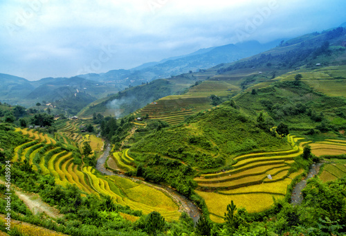 Photo: Rice Terraces in Vietnam Rice Terraces in Vietnam