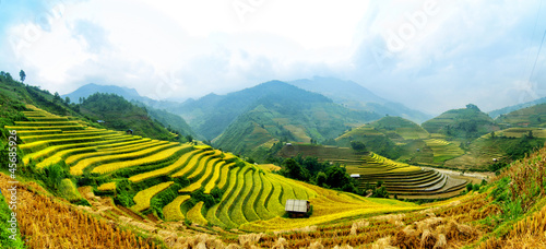 Photo: Rice Terraces in Vietnam Rice Terraces in Vietnam