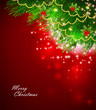 Xmas branch