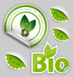 Organic Food, Eco, Bio Labels and Elements