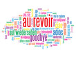 Nuage de Tags "AU REVOIR" (adieux salut bon voyage bonne chance)