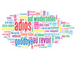 Nube de Palabras "ADIÓS" (hasta mañana luego saludos mensaje)