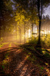 Herbst im Naturpark Saar-Hunsrück