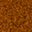 Detail of  wood surface
