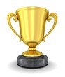 Gold Award cup