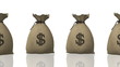 Money Bag, seamless loop
