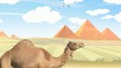 egypt desert
