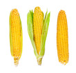 Fresh organic corn on white background