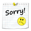 “SORRY” message (post-it apologies apologise smiley)