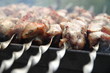 Schaschlik