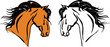 Horse head