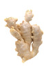 Photo: Ginger on white Ginger on white