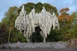Foto: Sibelius Monument in Helsinki, Finland Sibelius Monument in Helsinki, Finland