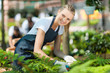 young female nursery worker working inside greenhouse