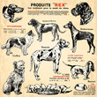 Les chiens