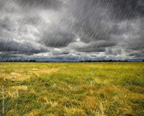 Photo: Heavy Rain over a prairie in Brittany, France Heavy Rain over a prairie in Brittany, France