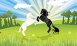 Dancing Horses