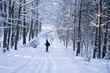 Winterwald