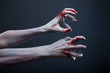 Foto: Zombie stretching bloody hands Zombie stretching bloody hands