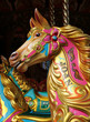 The Colourful Head of a Fun Fair Carousel Horse. The Colourful Head of a Fun Fair Carousel Horse.