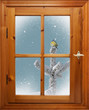 bird on tree in snowfall outside the window