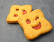 biscuits fourrage fraise