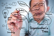 business man writing organization tree