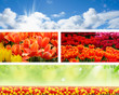 Landscape spring nature banners