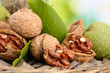 walnuts with green leaves in garden, on green background