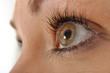 Auge in Nahaufnahme