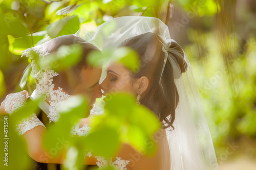 Photo: Wedding shot of bride and groom in park Wedding shot of bride and groom in park