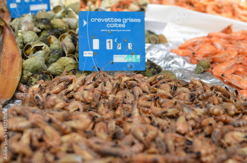 Photo: étale poissonnerie étale poissonnerie