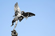 Photo: Eros statue Piccadilly London Eros statue Piccadilly London