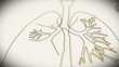 Human Lung structure animation illustration Shallow Depth of Fie