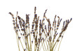 Foto: Dried lavender Dried lavender