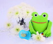 peluche,grenouille,tétine,et marguerite