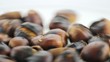 spinning roast chestnut plate, closeup