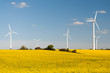 Windräder zwischen gelben Rapsfeldern