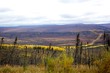 Remote Alaska