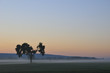 Morgennebel