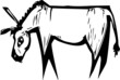 Donkey