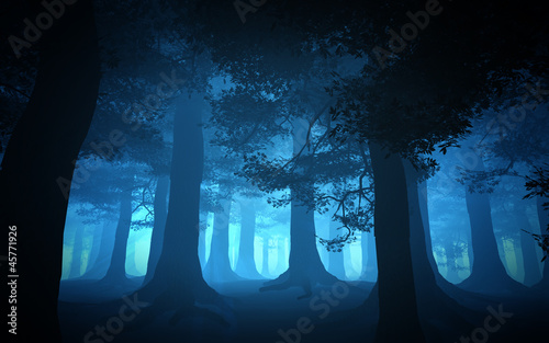 Dark Blue Forest