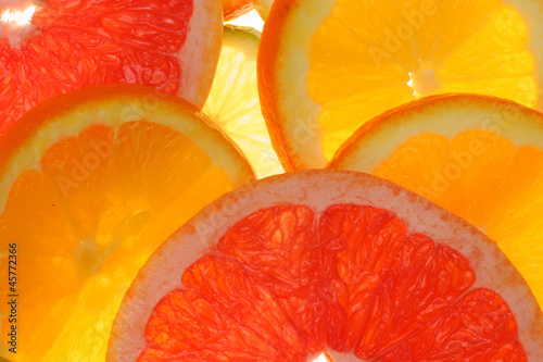 Photo: Citrus Citrus