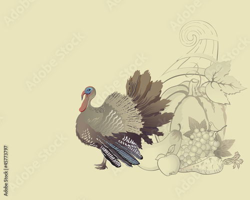 Vector: Thanksgiving turkey and cornucopia Thanksgiving turkey and cornucopia