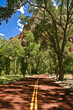 Zion red road