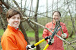 women pruning  tree in  orchard