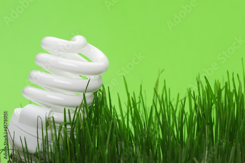 Photo: Energy saving compact fluorescent lightbulb Energy saving compact fluorescent lightbulb