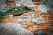 old wall
