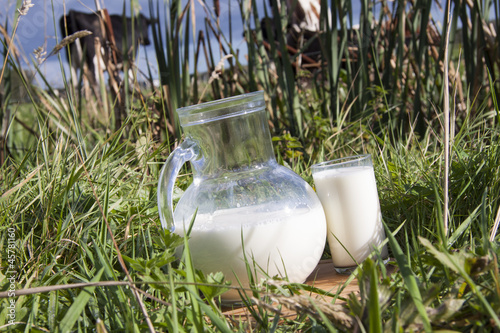 Photo: cow milk cow milk