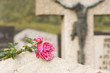 Grabstein mit Rose